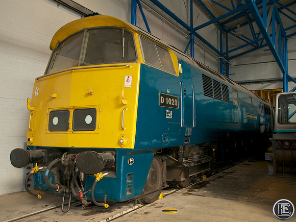 D1023, "Class 52", Western