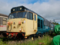 50029, "Class 50"