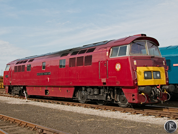 D1015, "Class 52", Western