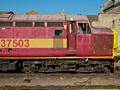 37503, "Class 37"